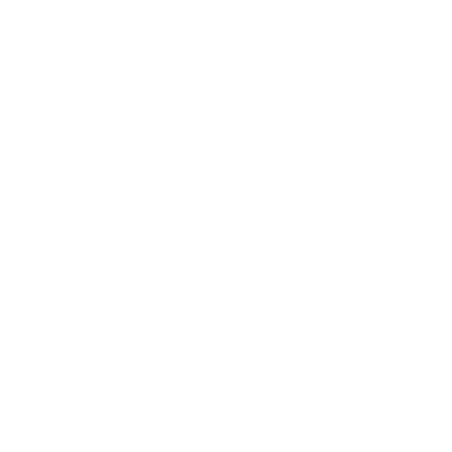 dowain inc logo